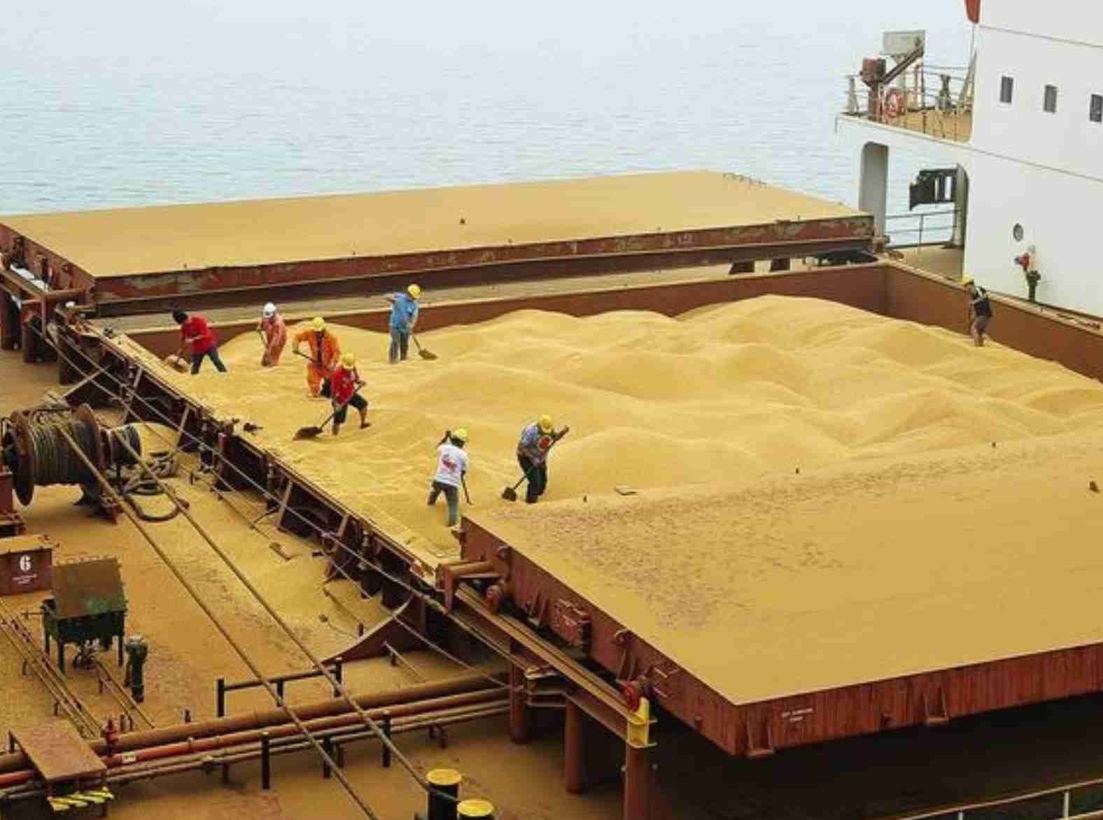 Prosperidade sustentável: O triunfo do agronegócio paranaense no cenário global