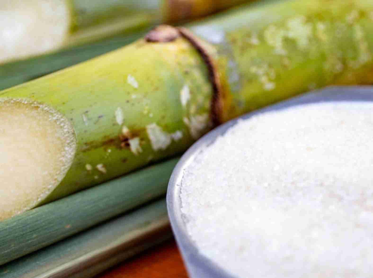 Mercado açucareiro em balanço: A delicada dança entre produção e preços