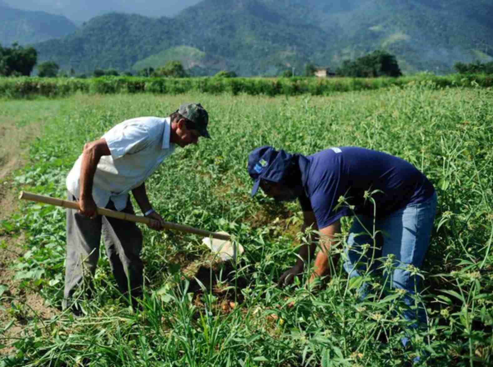 Projeto preserva a agricultura familiar na Amazônia