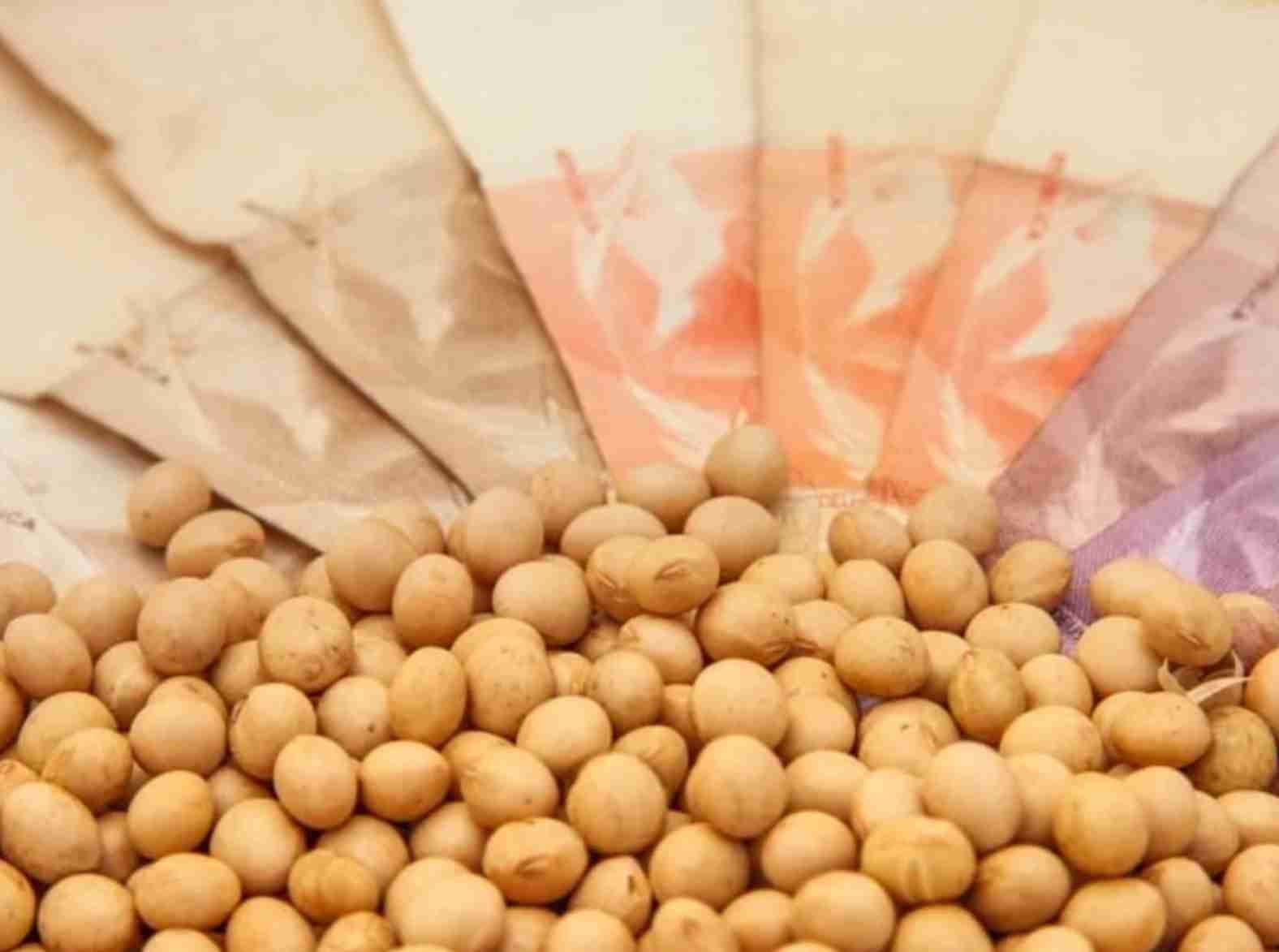 Soja: Preços no BR têm até R$ 4/saca menos nos portos em semana que se inicia sem Chicago