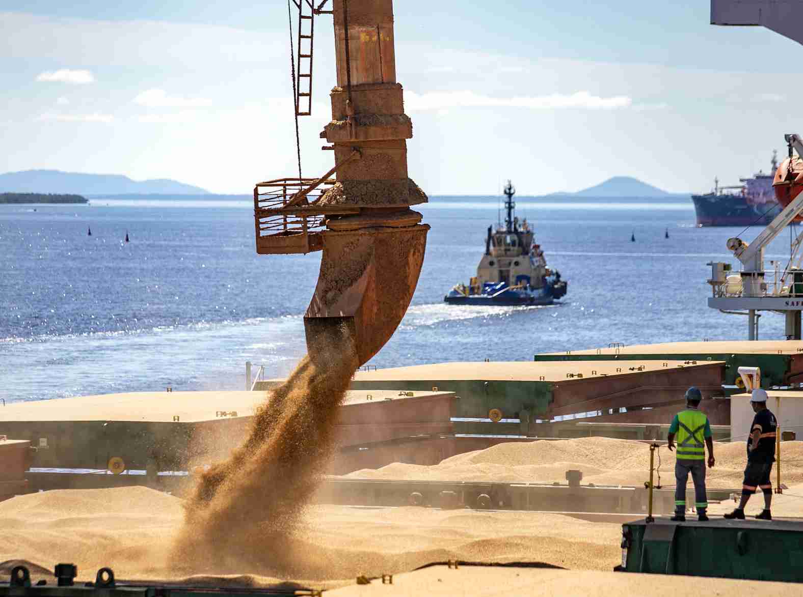 Portos amazônicos exportaram mais de 51 milhões de toneladas de grãos em 2023