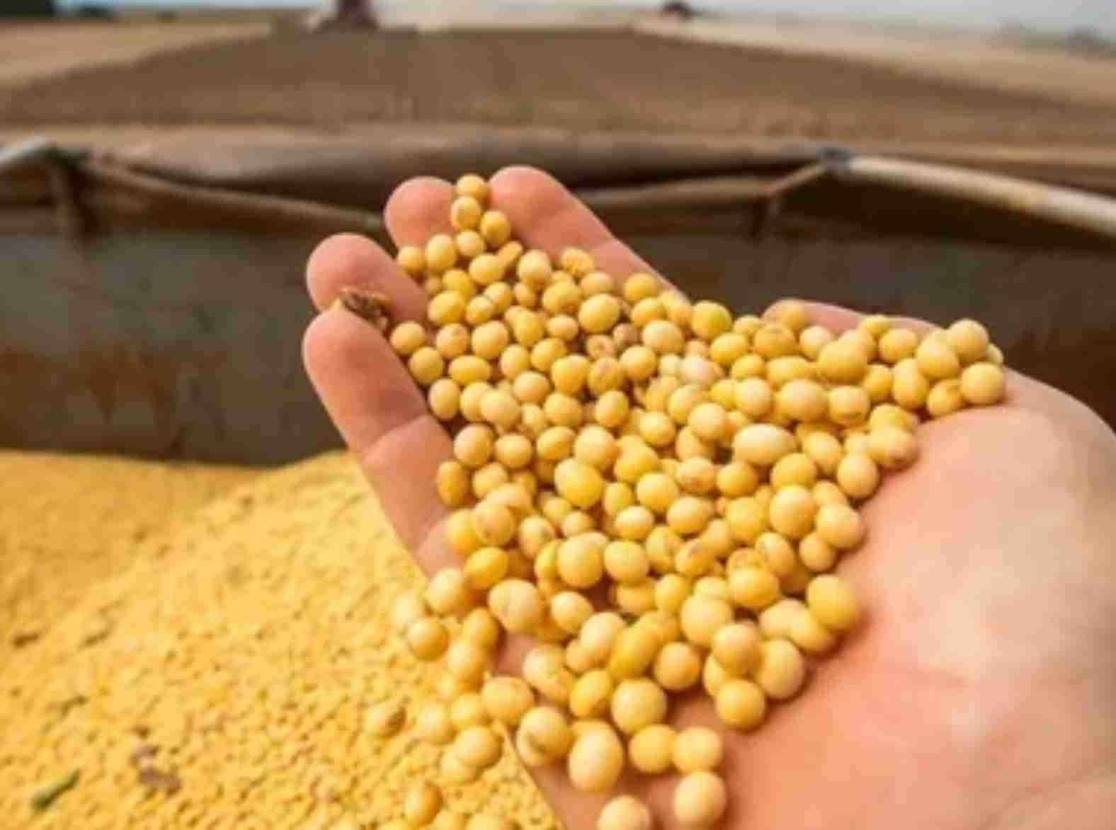 Soja sobe levemente em Chicago nesta 3ª feira, com mercado ainda lateralizado