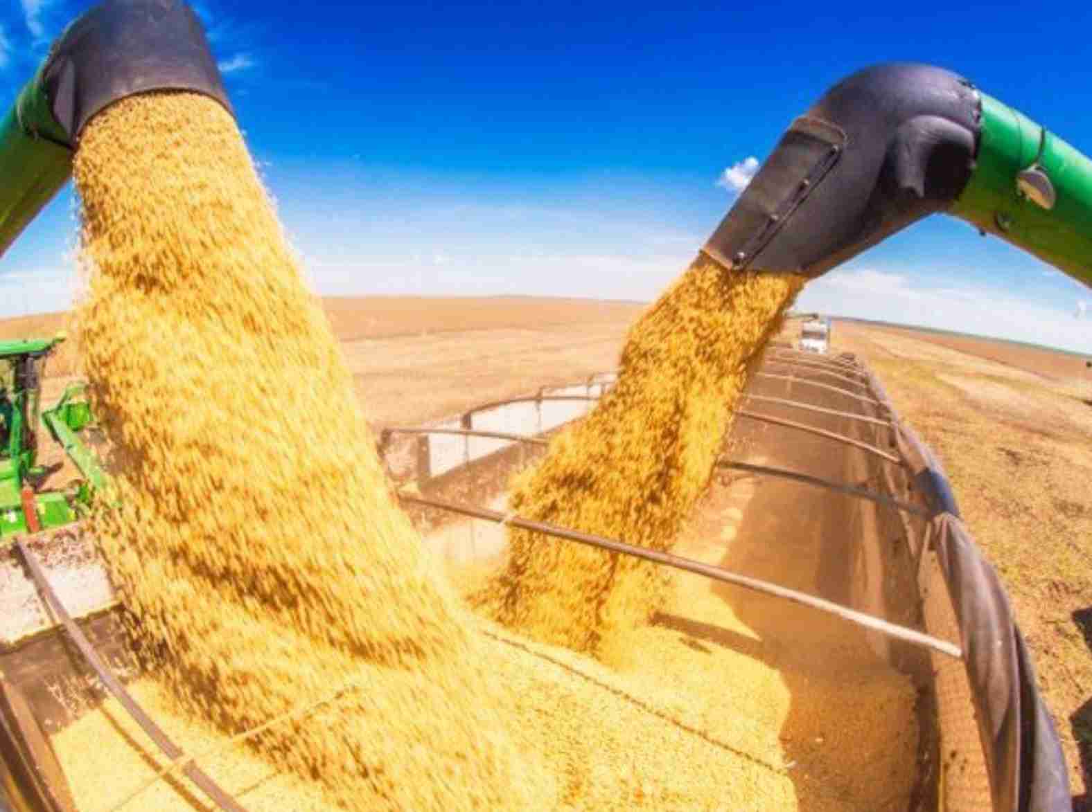 Volatilidade no mercado da soja: Impactos do clima e tensões políticas
