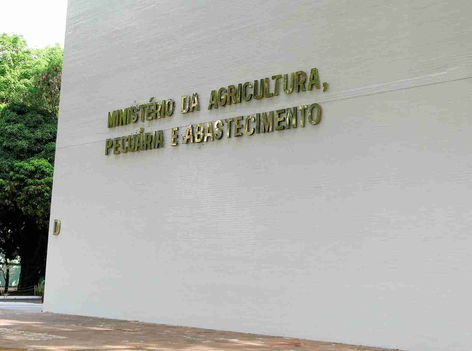 Fortalecendo a segurança alimentar: Brasil estabelece novos requisitos para importação de musgo de esfagno Chileno
