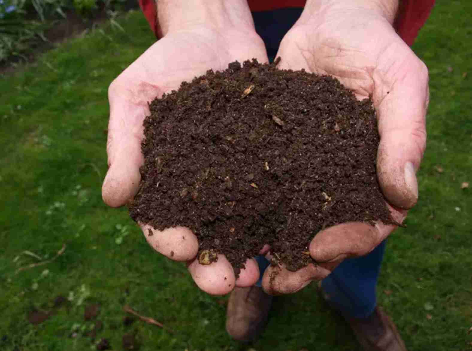 Autossuficiência em foco: Brasil caminha para a independência na produção de fertilizantes