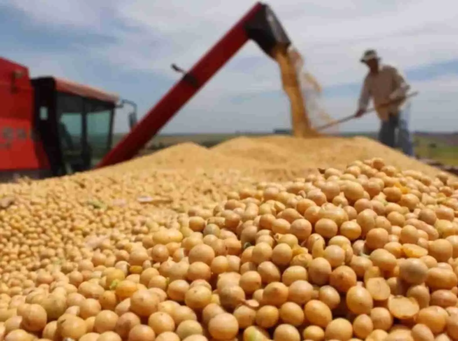 Alta da soja em Chicago: Sinal de prosperidade no mercado agrícola global