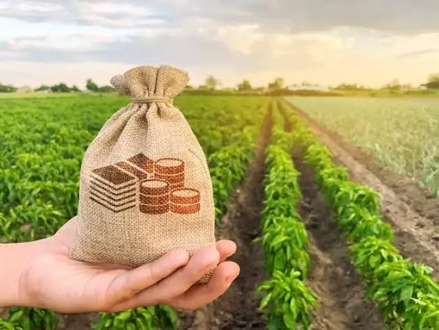 Repercussões da reforma tributária no agronegócio brasileiro