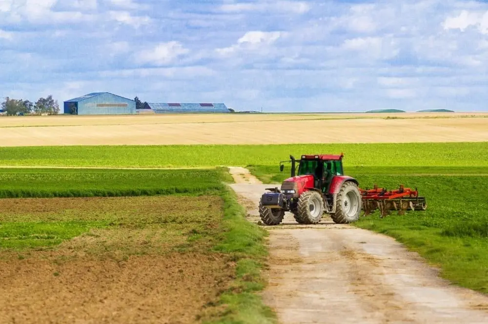 Dia do Agronegócio: é tempo de comemorar mais ou reivindicar?