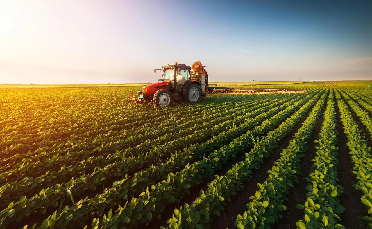 Governo deve anunciar plano de socorro ao agro até fim de março