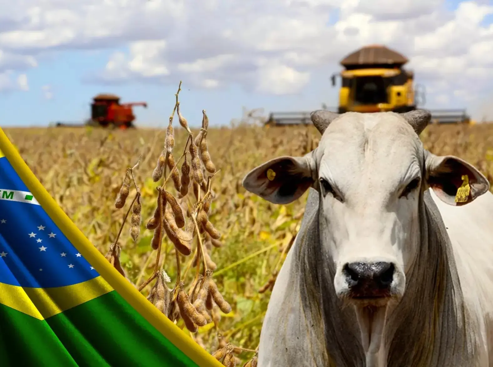 O Brasil não é o país do "carnaval", é o país do Agro, diz Leandro Figueiredo