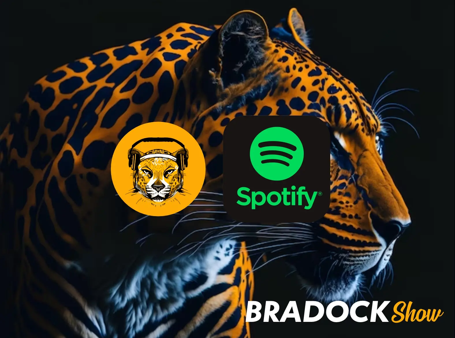 Programa Bradock Show: Uma nova onda no universo do streaming