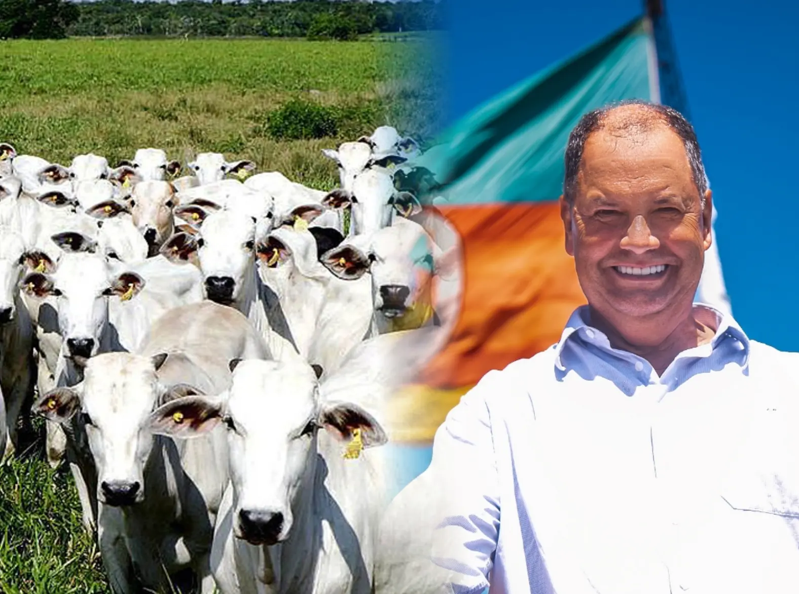 Agricultura brasileira: Pilar de sustentabilidade e qualidade no cenário global