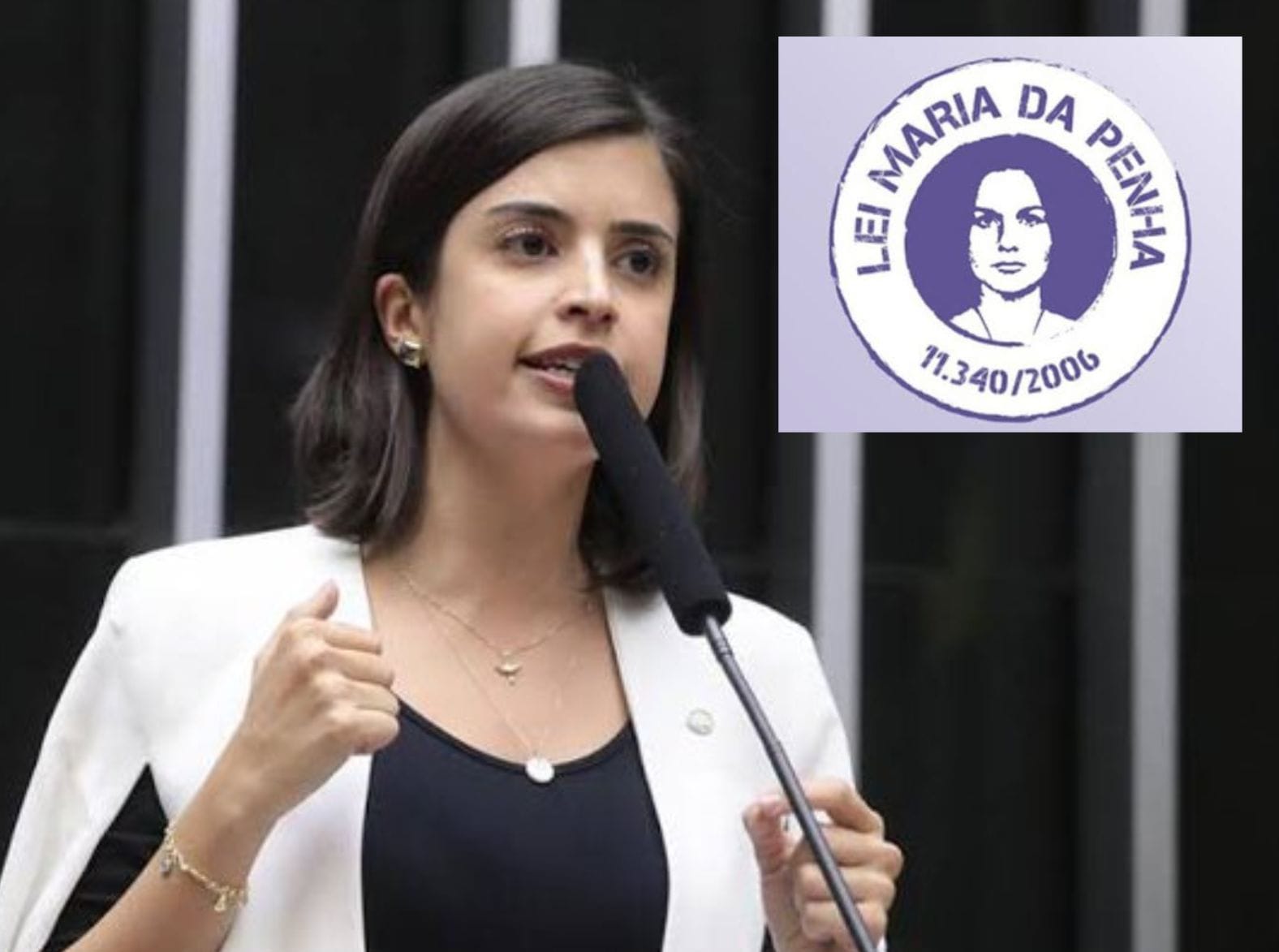 Projeto polêmico propõe mudanças na Lei Maria da Penha