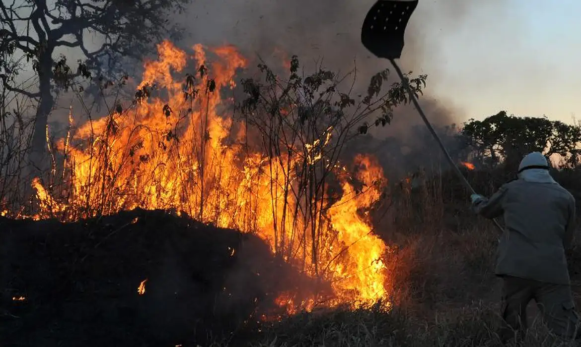 Explosão de degradação na Amazônia desmonta discurso ambiental do governo Lula
