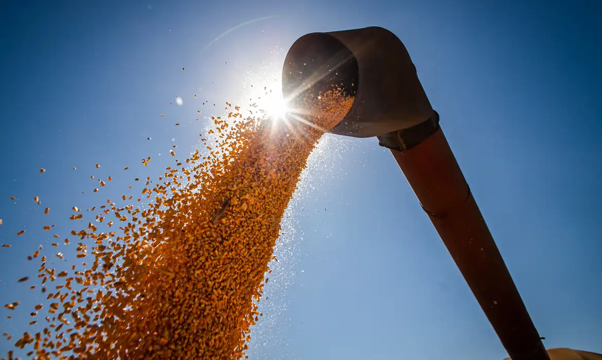 Agronegócio impulsiona Brasil rumo à maior safra de grãos da história