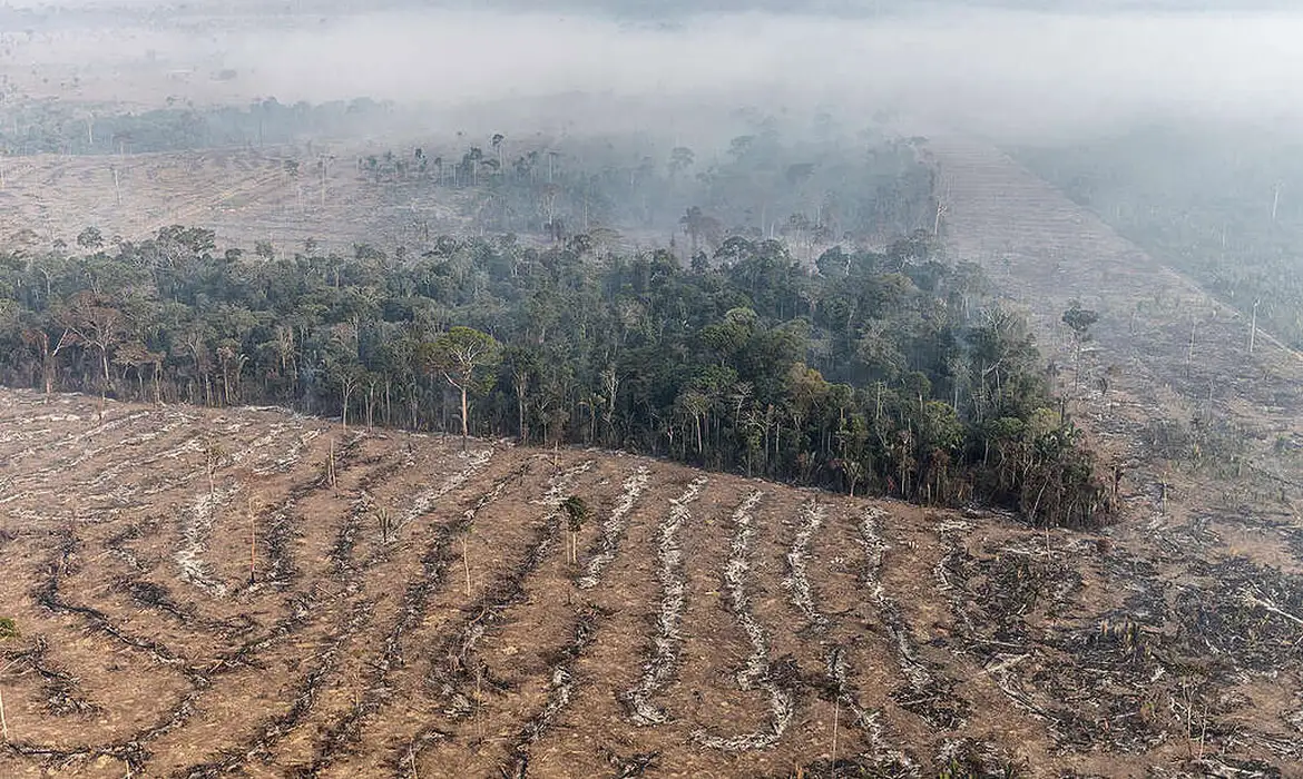 Brasil em chamas: Governo Lula apaga incêndios com discursos